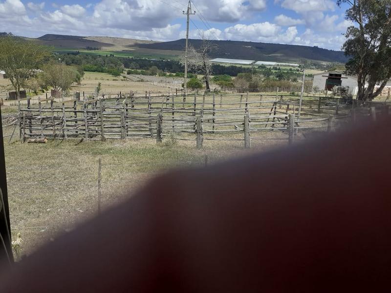 0 Bedroom Property for Sale in Riversdale Western Cape